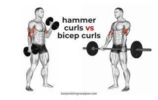 Hammer Curls vs Bicep Curls Cover