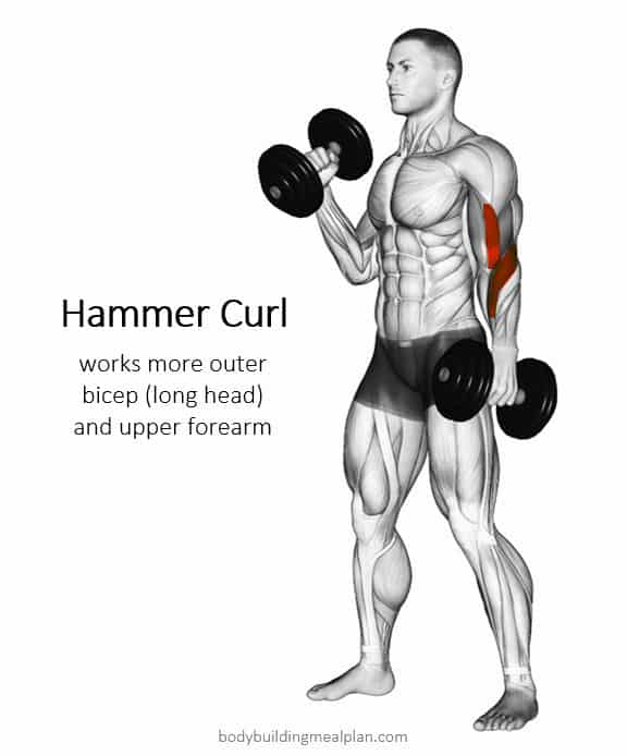 Outer Bicep Workout Hammer Curl