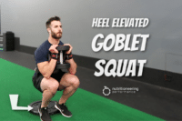 leg-press-vs-squat-mechanics-muscle-activation-calories-burned-more