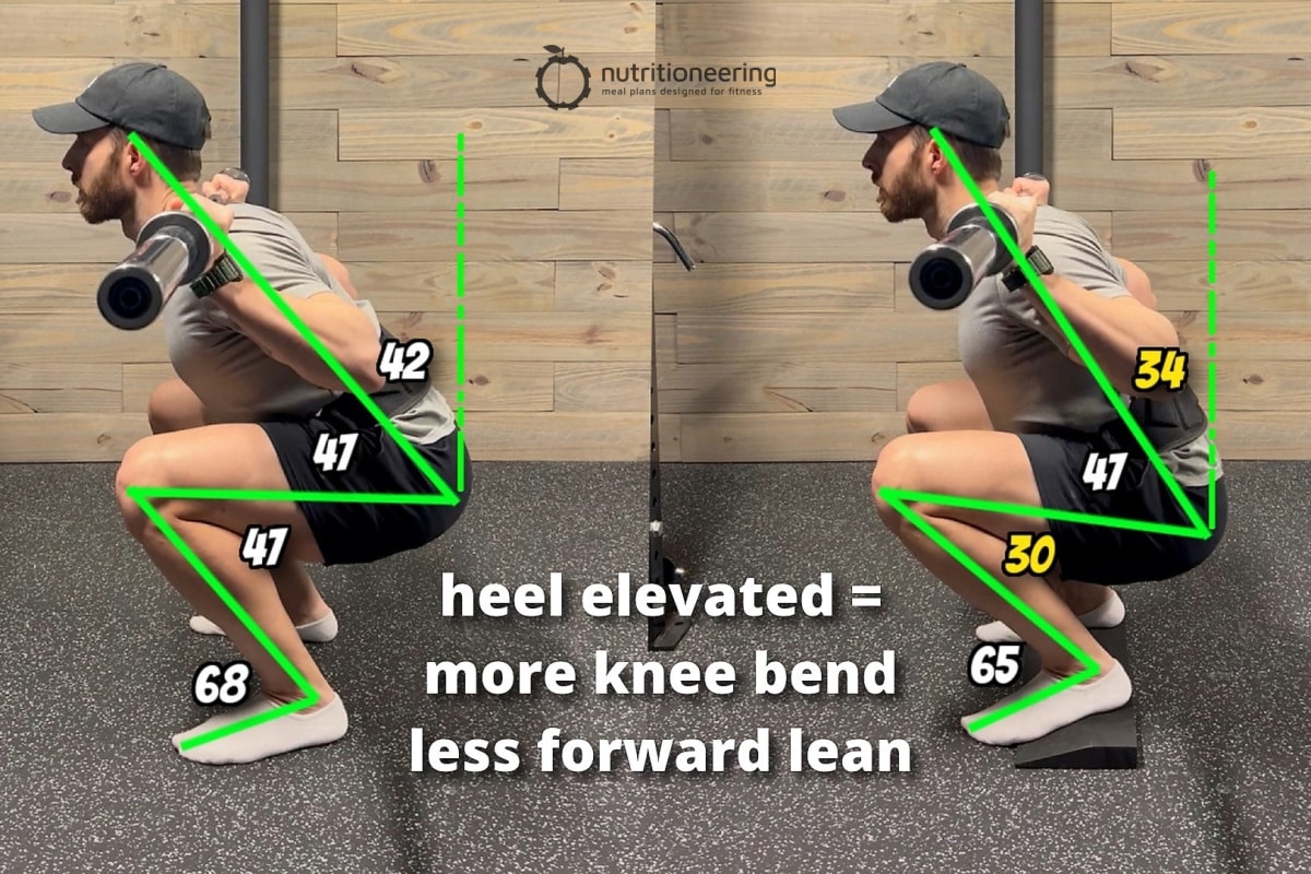 Heel Elevated Squats Joint Angles