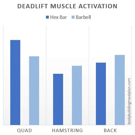Hex Bar vs Barbell Deadlift Muscle Activation