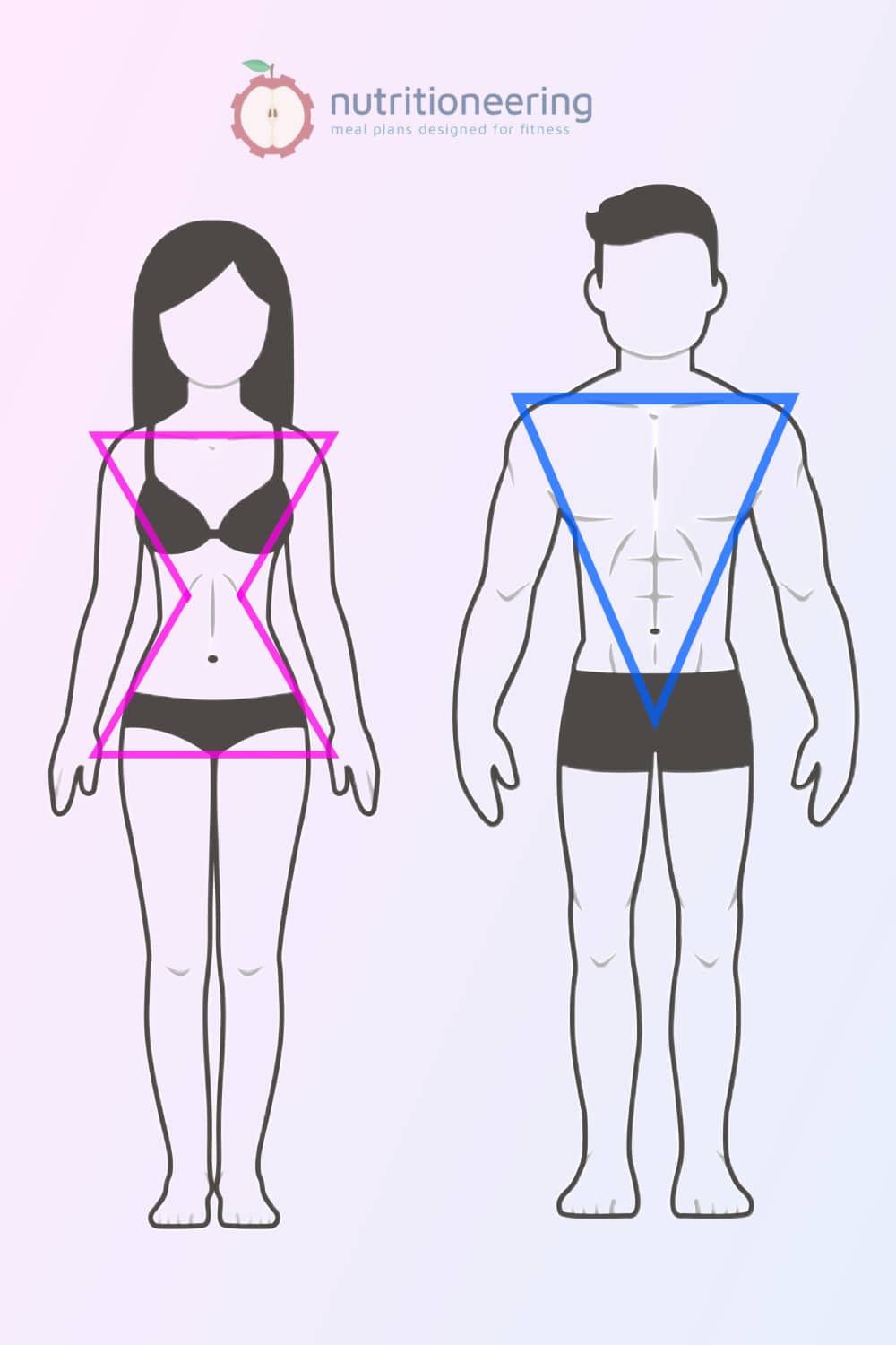 Hip Size and Body Shape