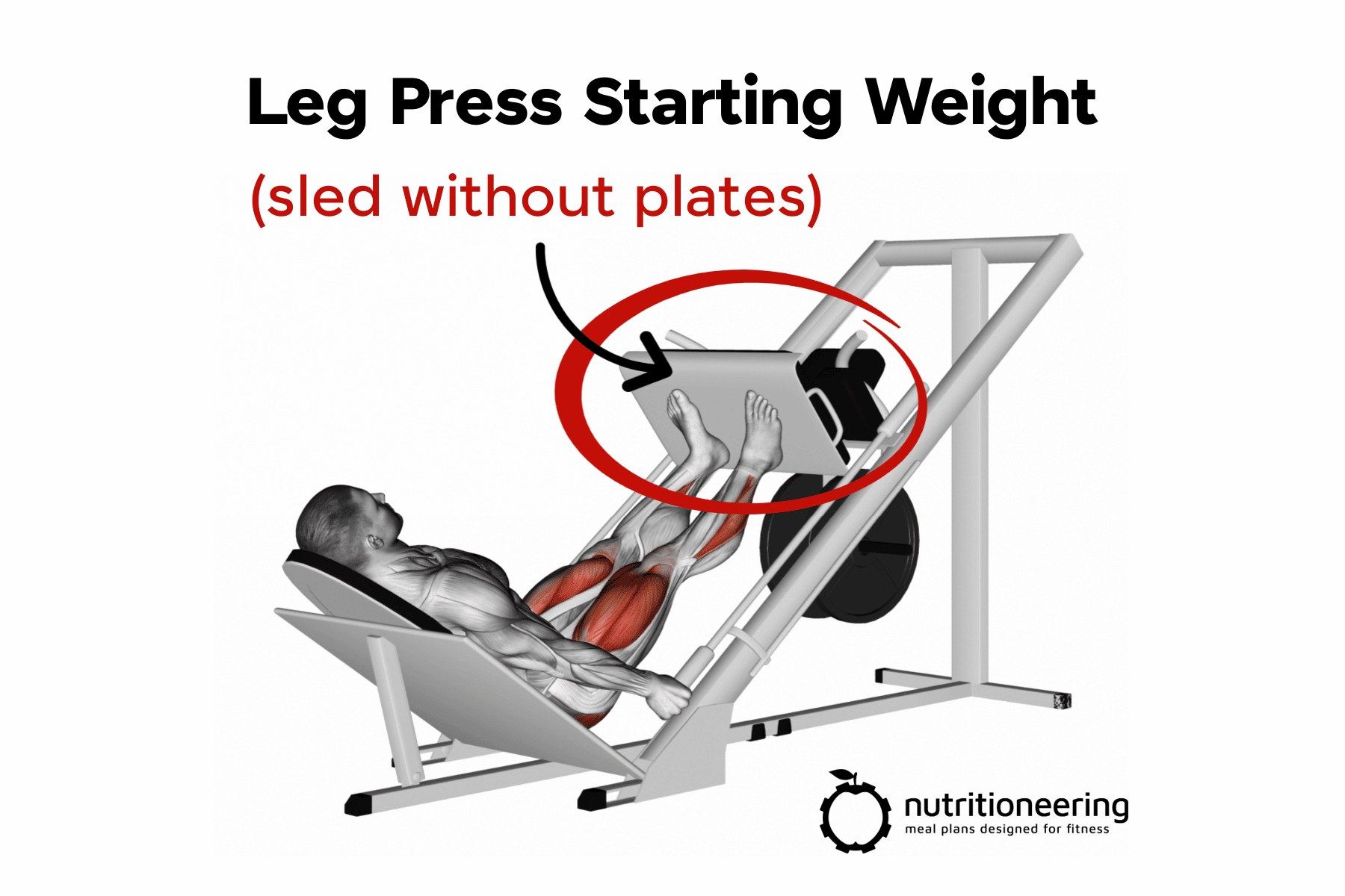 Geleidbaarheid Concurrenten Sada How Much Does A Leg Press Weigh Without Plates (Sled Only)? |  Nutritioneering