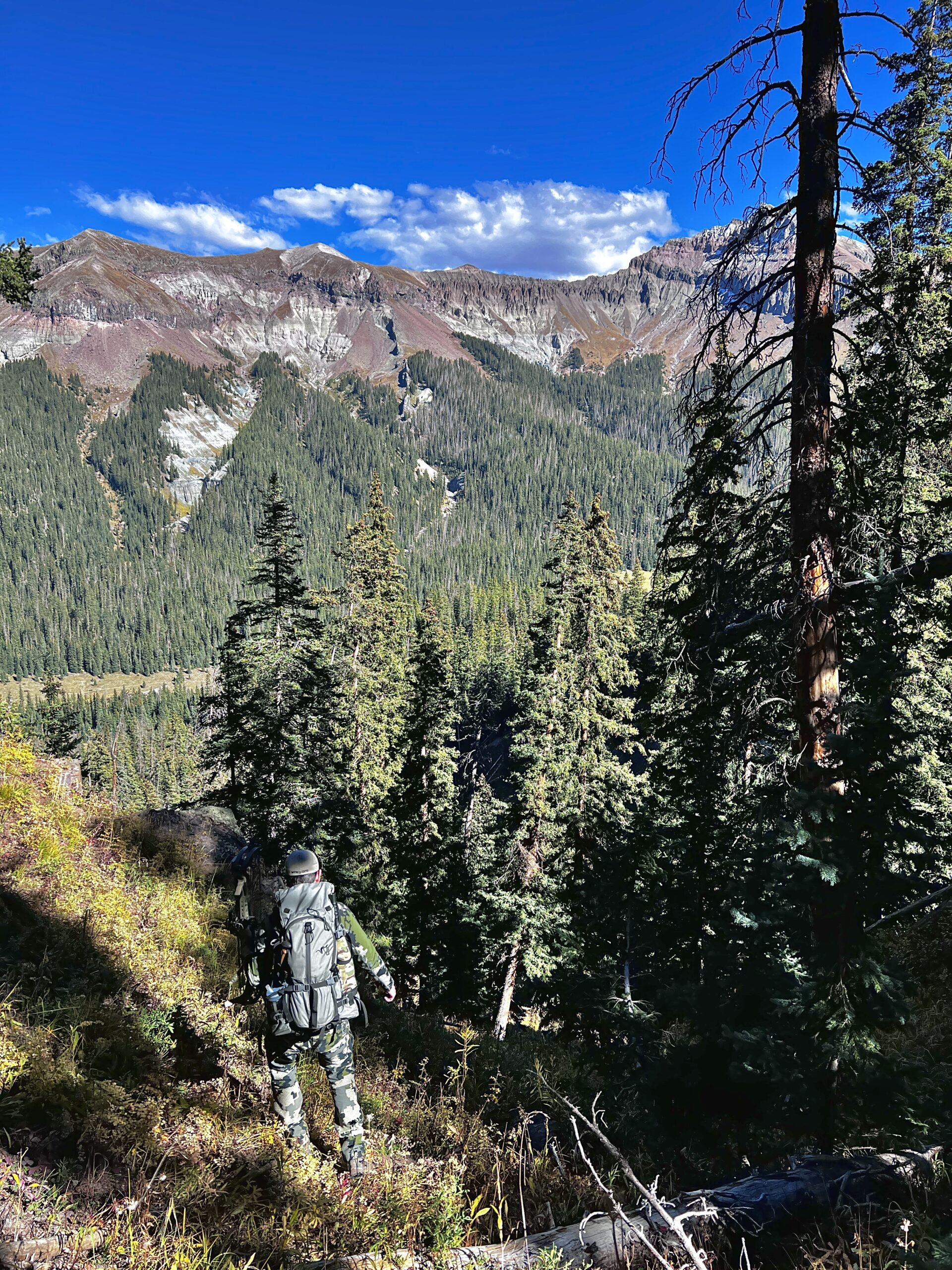 Protein Intake Muscle Loss Protein Intake Muscle Loss