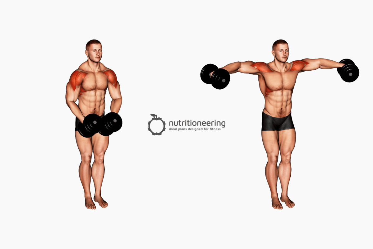 Lateral Deltoid Exercises - Dumbbell Lateral Raise