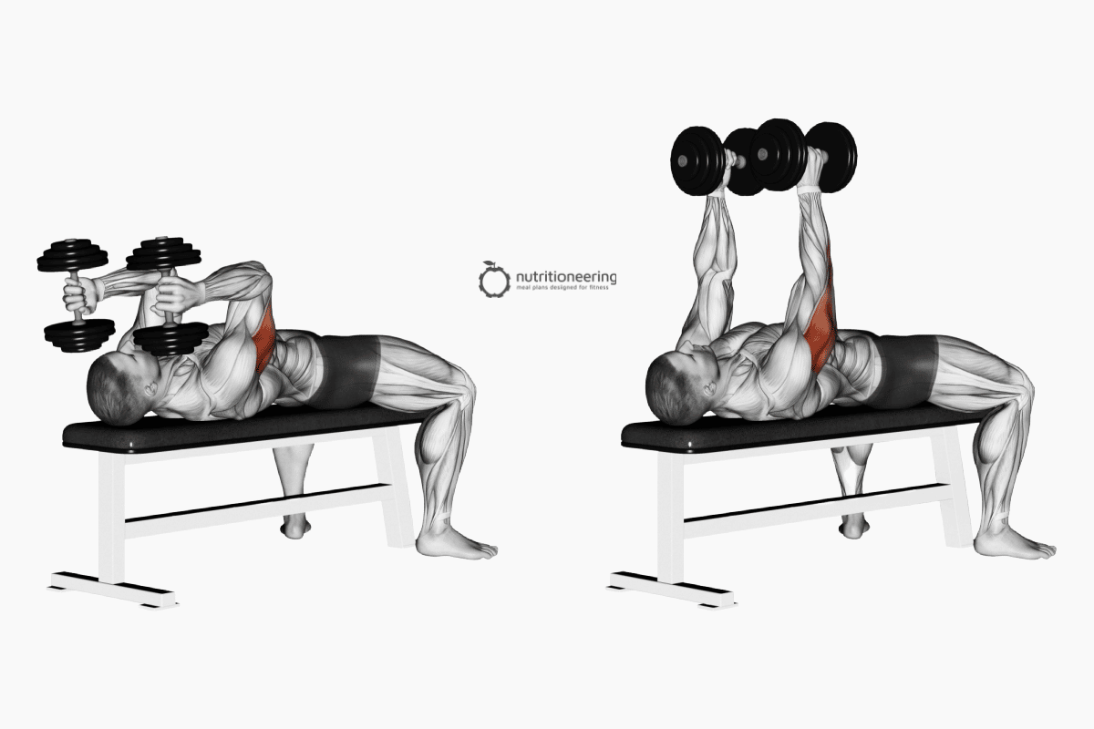 Lateral Head Tricep Exercises DB Skull Crusher