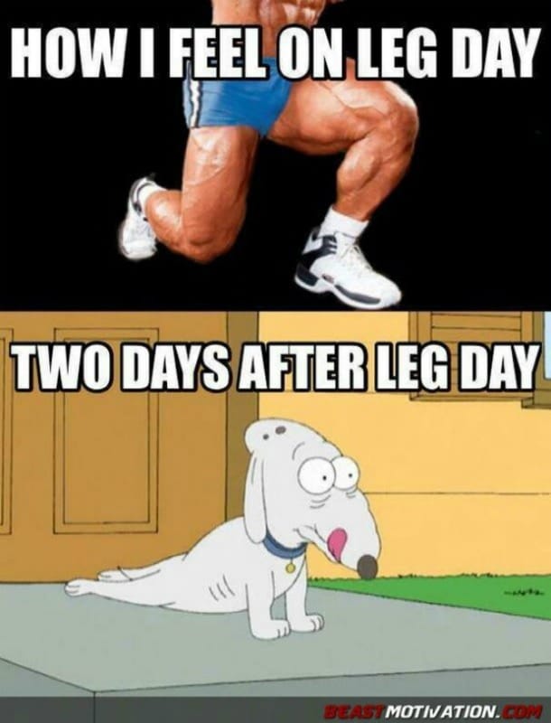 Leg Day vs After Leg Day Meme