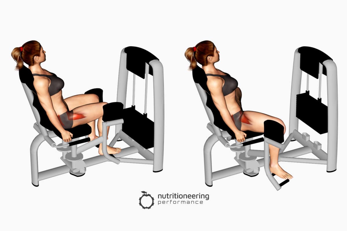 Leg Exercise Machines Hip Abduction Leg Exercise Machines Hip Abduction