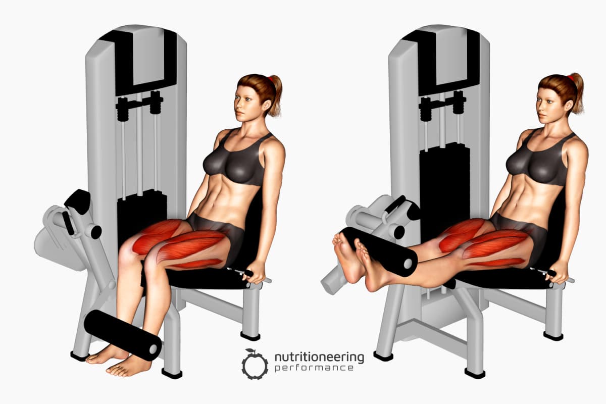 Leg Exercise Machines for Quads Leg Exercise Machines for Quads