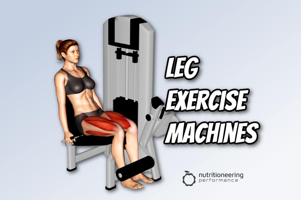 Leg Exercise Machines