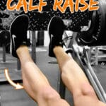 Leg Press Calf Raise Pin