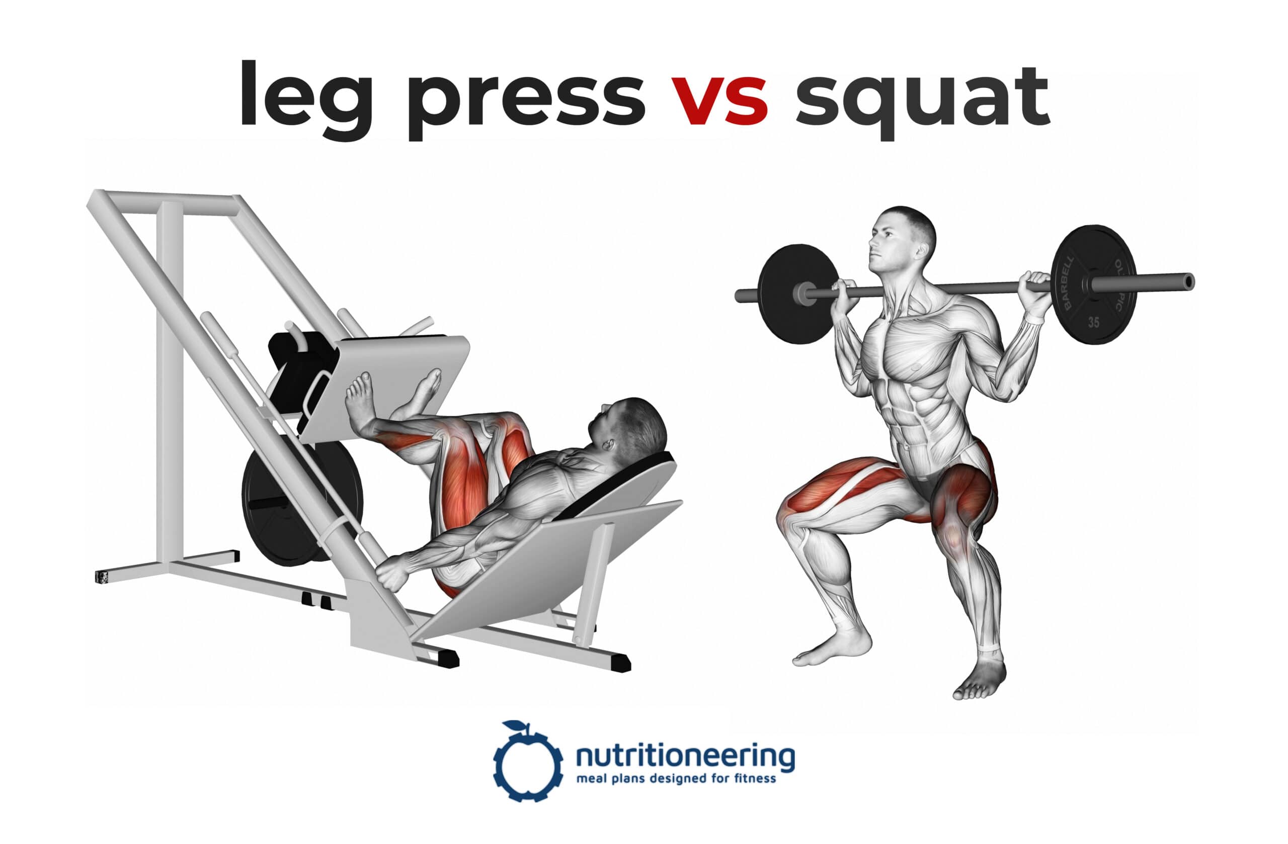 Typisch Verschuiving Autonomie Leg Press vs Squat Mechanics, Muscle Activation, Calories Burned & More |  Nutritioneering