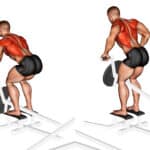 Lever,T-bar,Row,(plate,Loaded).,3d,Illustration