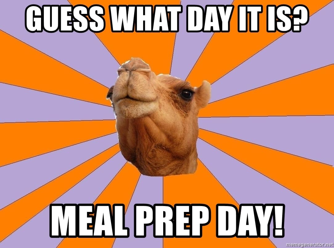 Meal Prep Memes Guess What Day It Is Meal Prep Memes Guess What Day It Is