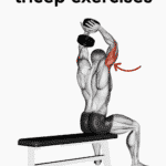 Medial Head Tricep Exercises Pin