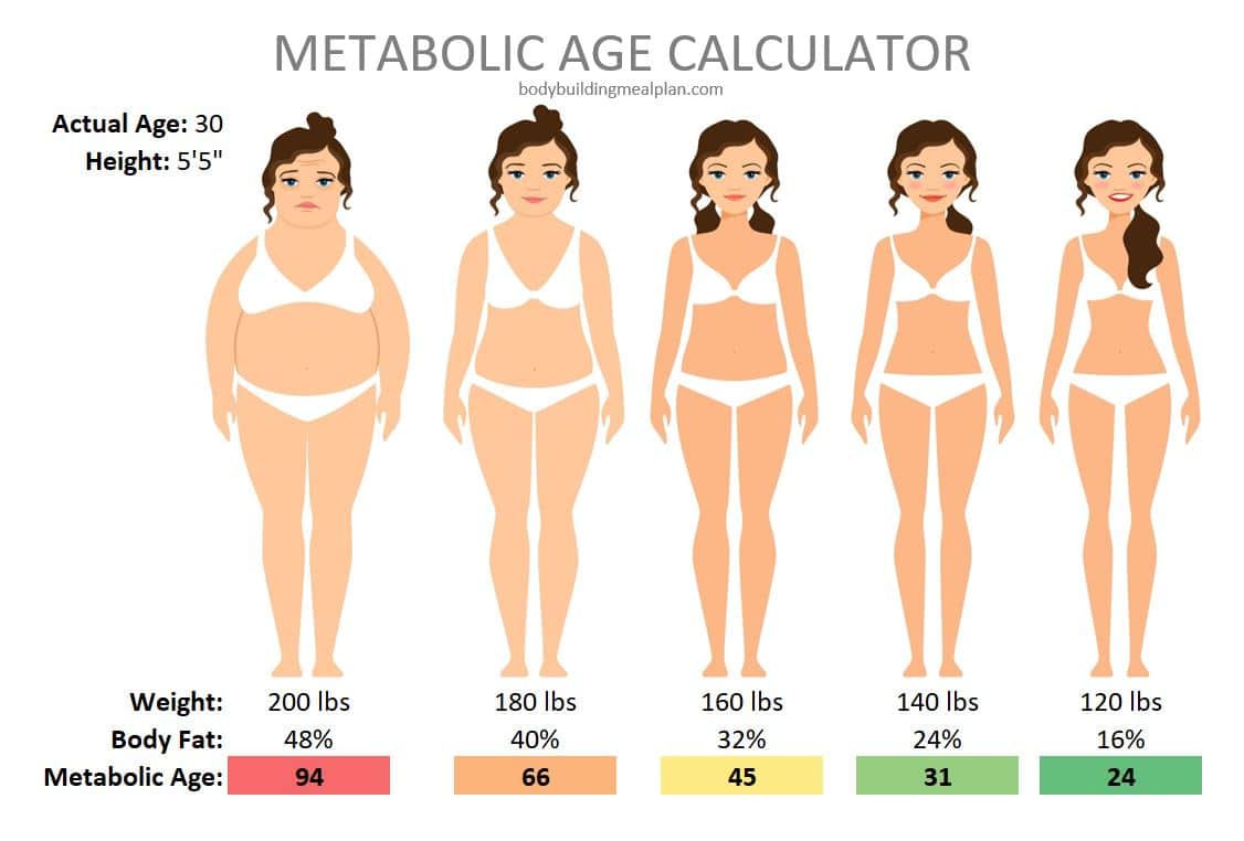 Metabolic Age Calculator