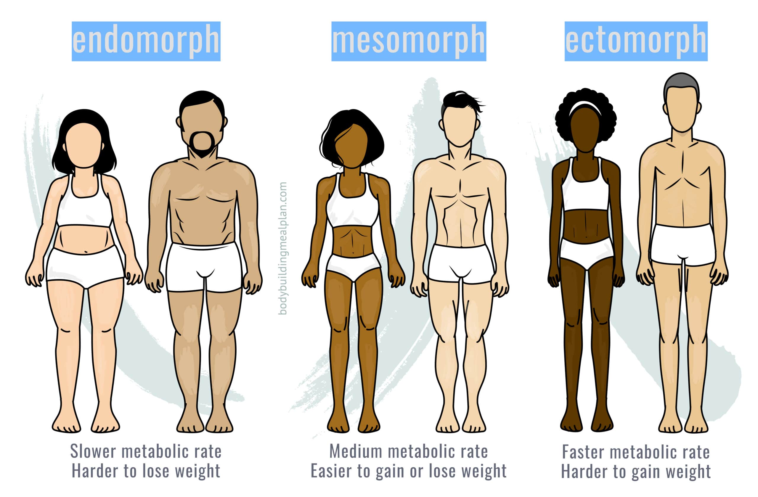 mesomorph body type diet