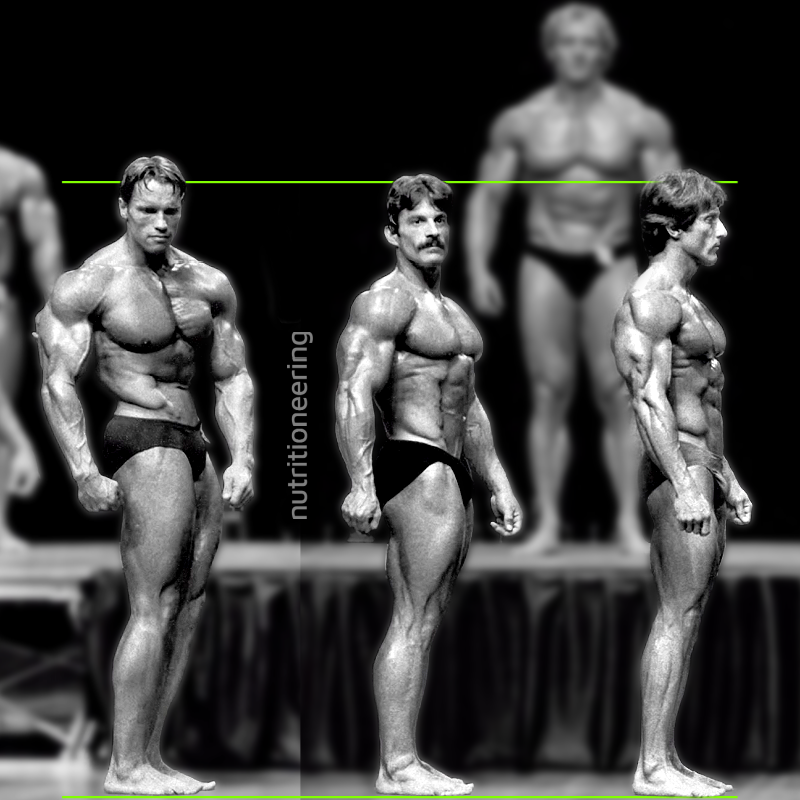 Mike Mentzer Height vs Arnold and Zane