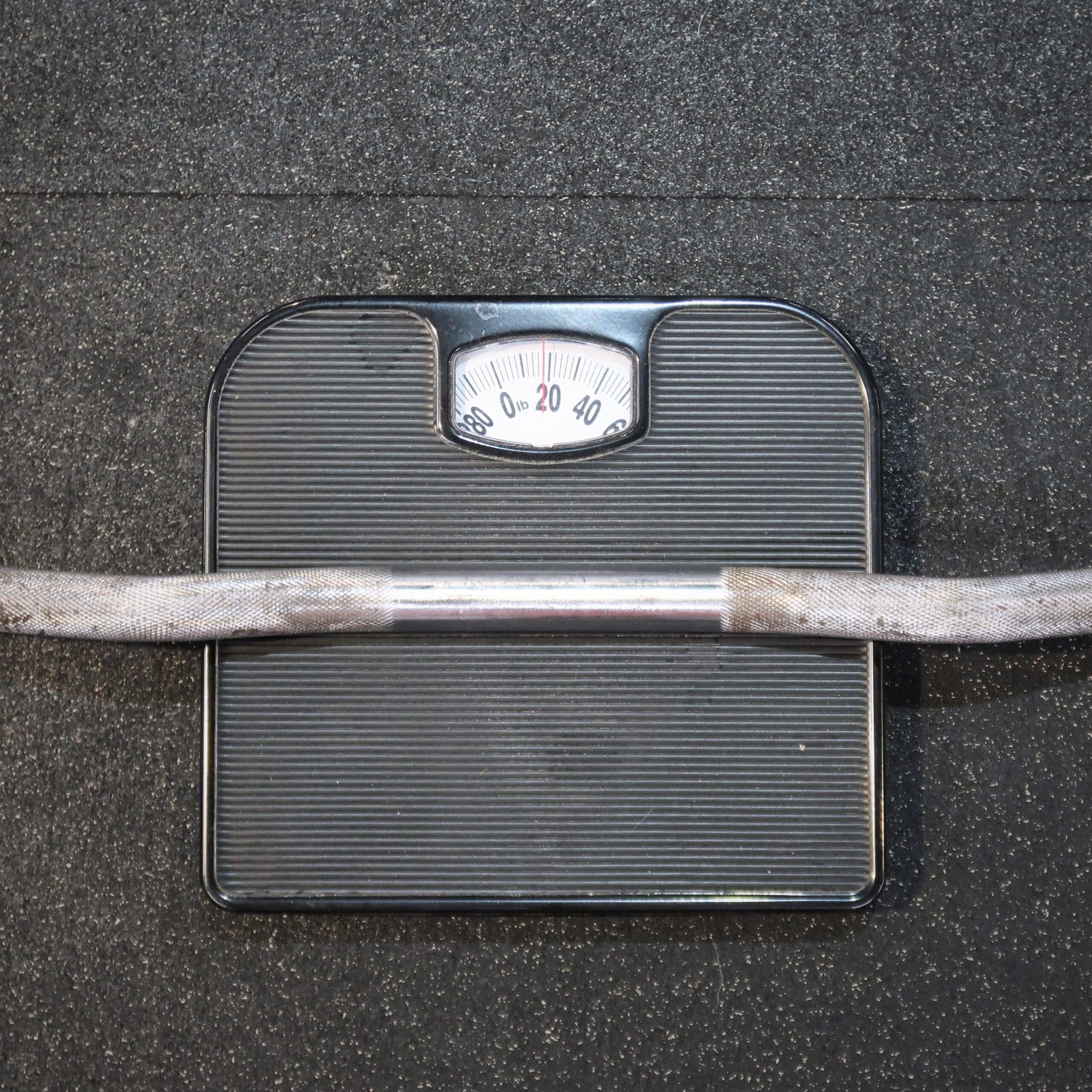 Olympic EZ Bar Weight Close Up