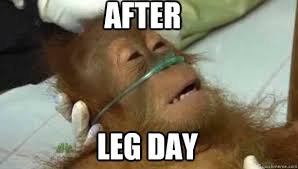 Orangutan After Leg Day Meme Orangutan After Leg Day Meme