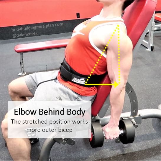 Outer Bicep Workout Elbow Position
