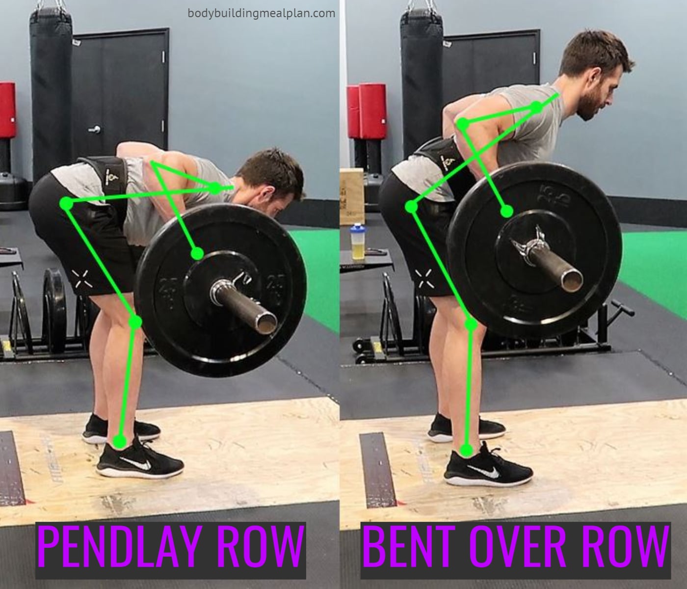 liberal Advanced Murmuring Pendlay Row vs Bent Over Barbell Row For Building A Broader Back |  Nutritioneering