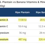 Plantain vs Banana Nutrition Vitamins Minerals