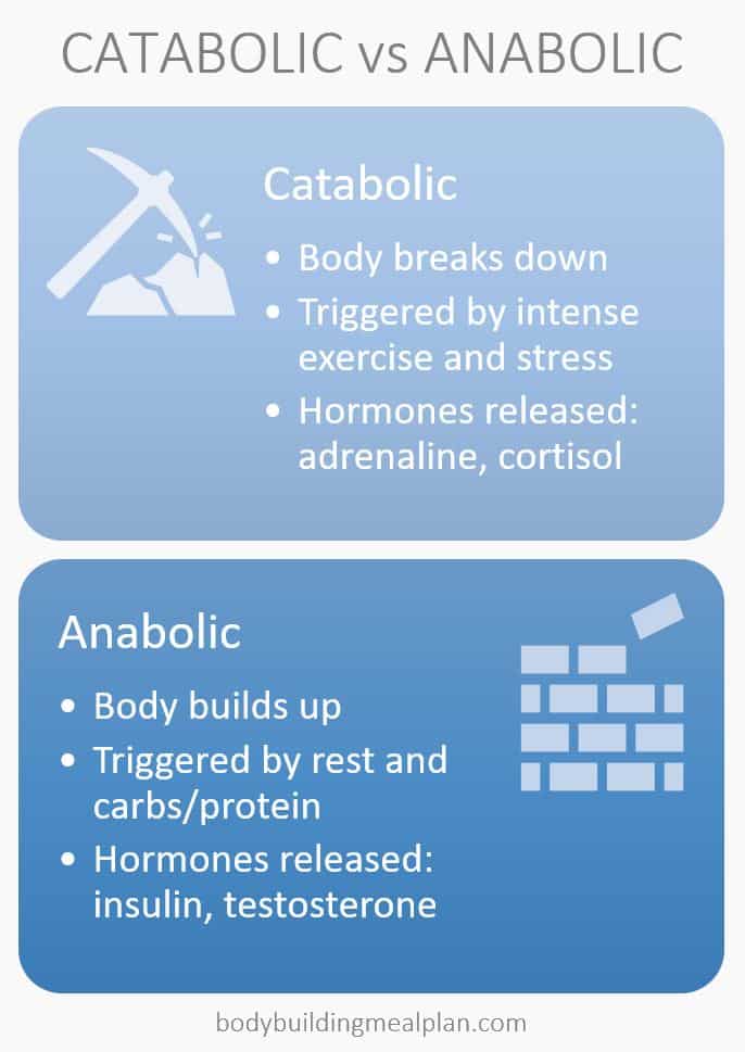 EAA vs BCAA Anabolism