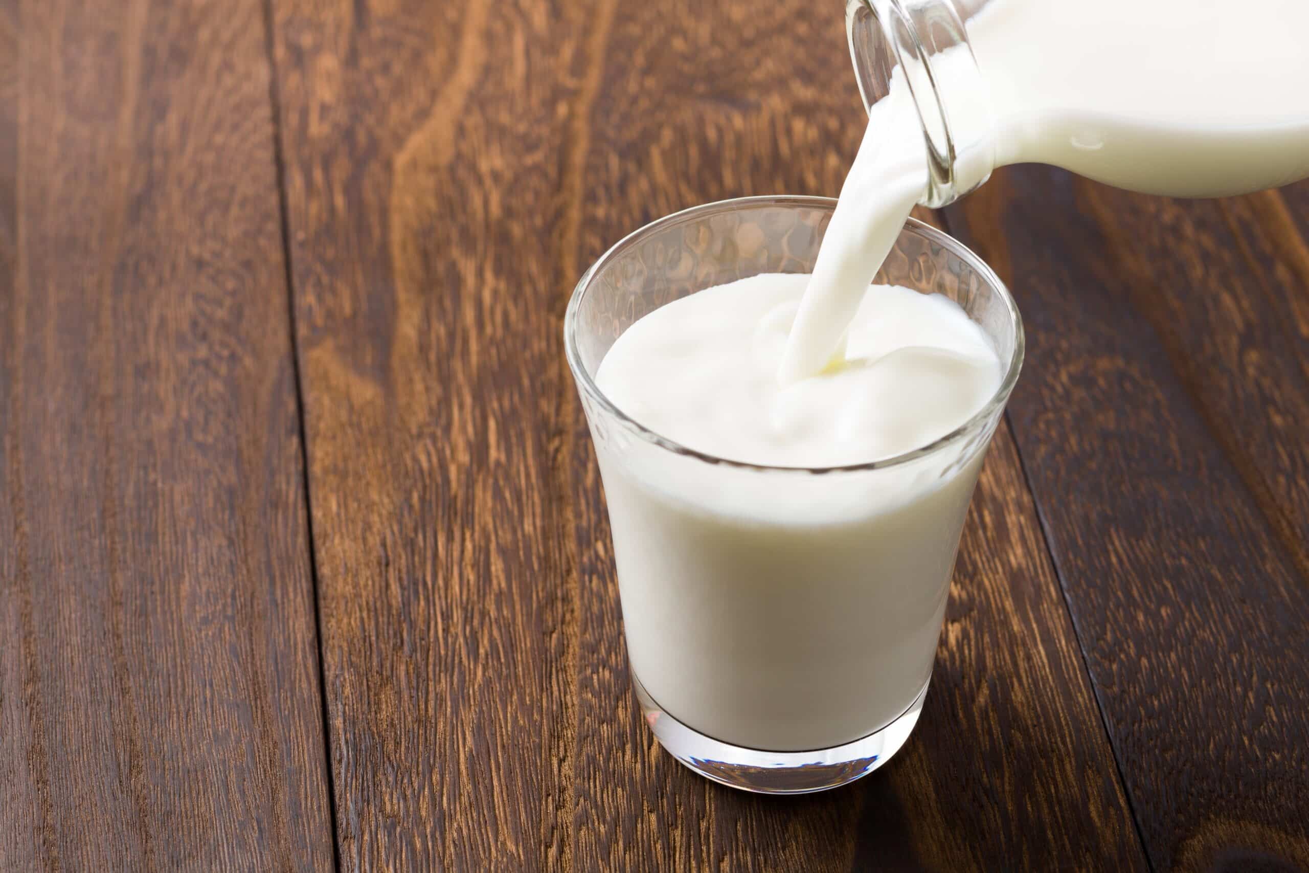 Protein in 8 oz Milk