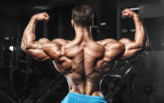 Bicep Peak Exercises