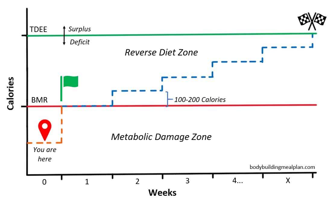 Reverse Dieting Calculator 1