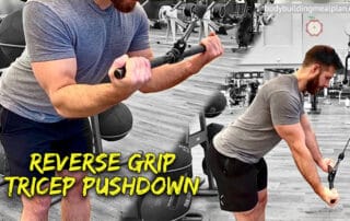 Reverse Grip Tricep Pushdown YouTube Cover