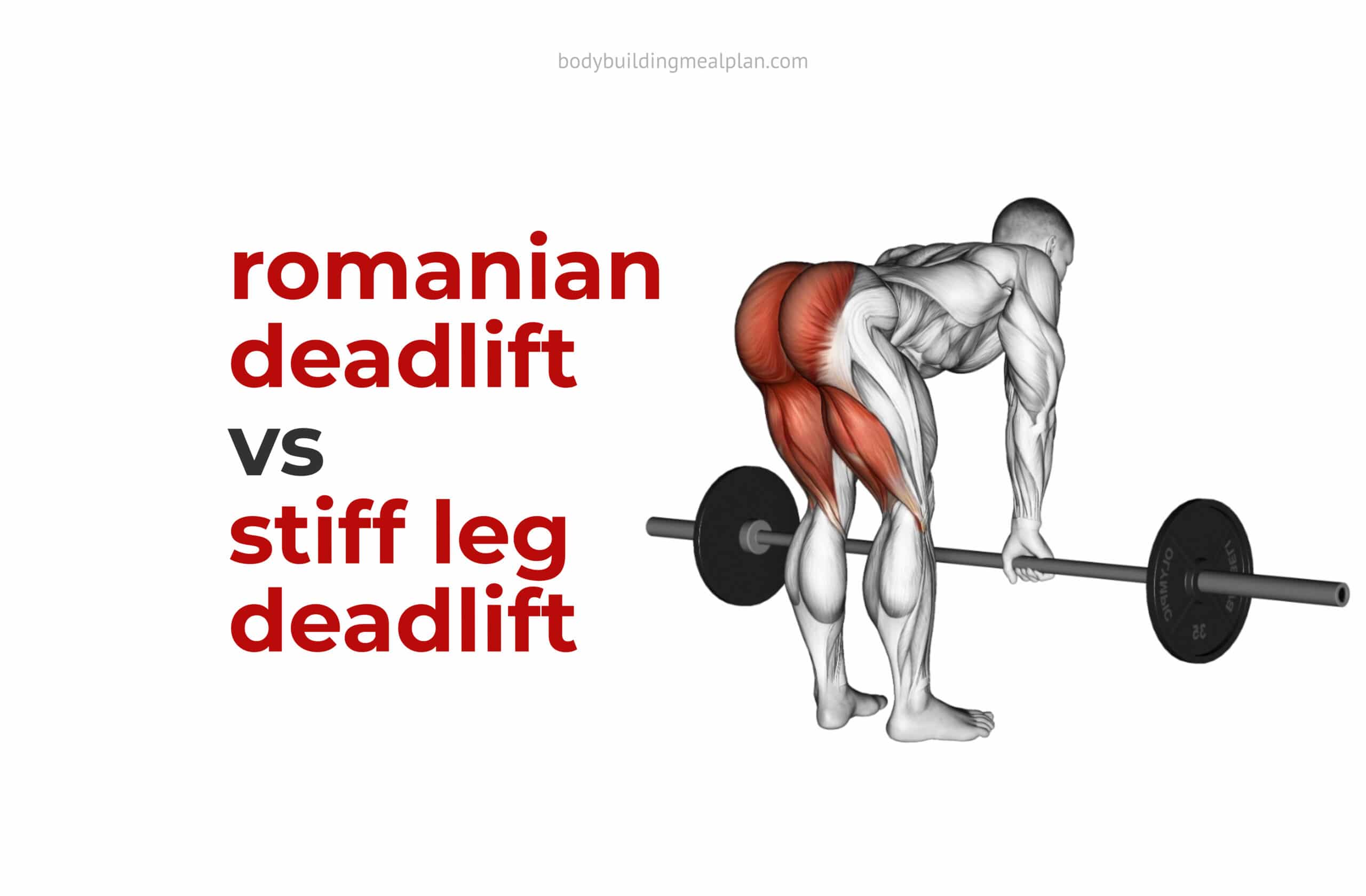 Romanian Deadlift vs Stiff Leg Deadlift