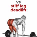 Romanian Deadlift vs Stiff Leg Deadlift Pin