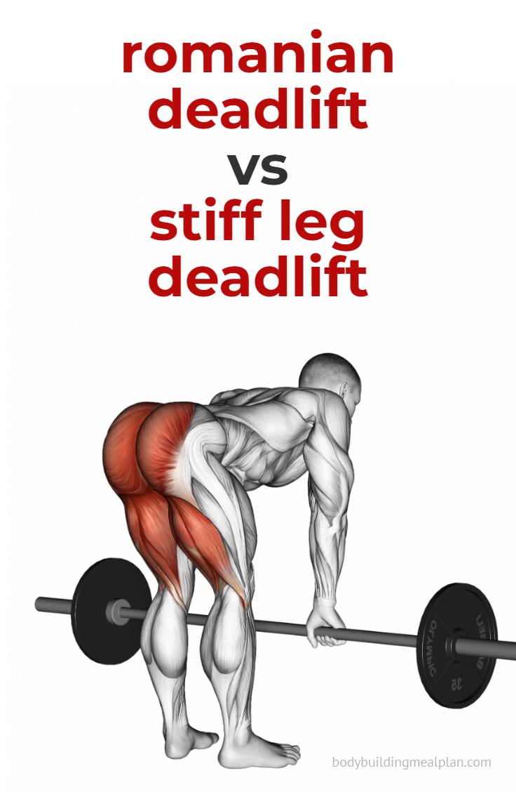 Romanian Deadlift Vs Stiff Leg Deadlift Differences Muscles Worked 