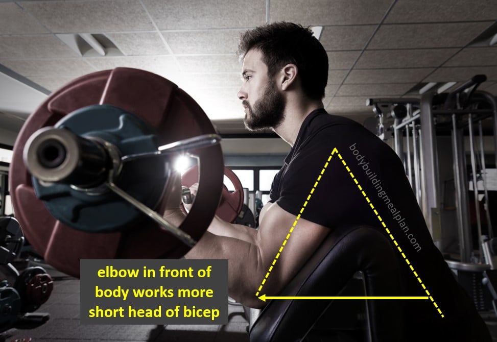 Short Head Bicep Exercises Arm Position