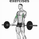 Short Head Bicep Exercises Pin