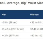 Small Large Average Waist Size