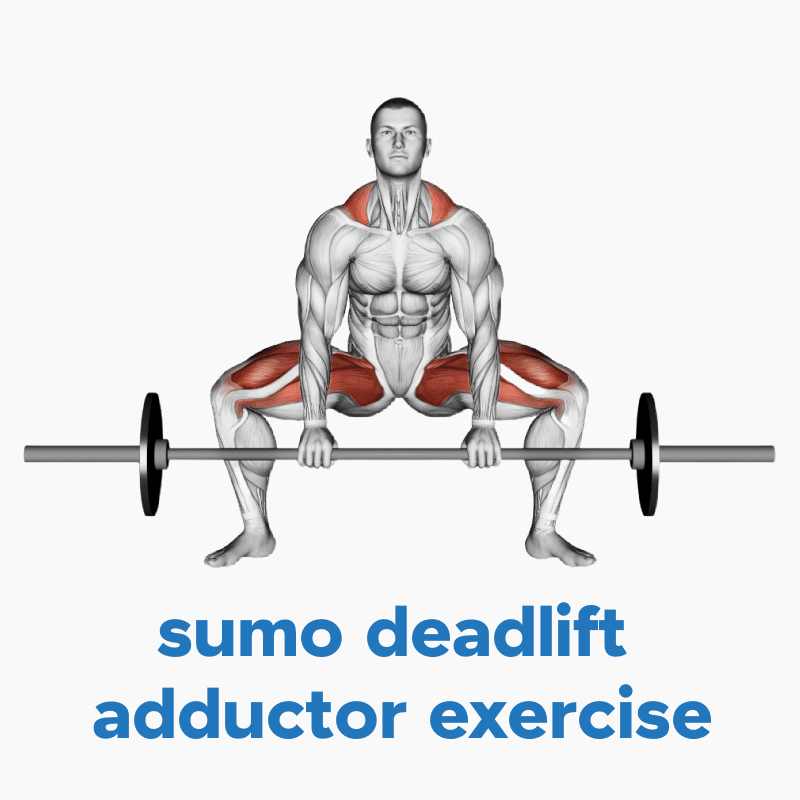 Sumo Deadlift Adductor Stretch