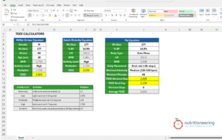 TDEE Calculator Excel Spreadsheet