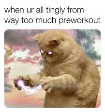 Tingly Pre Workout Meme