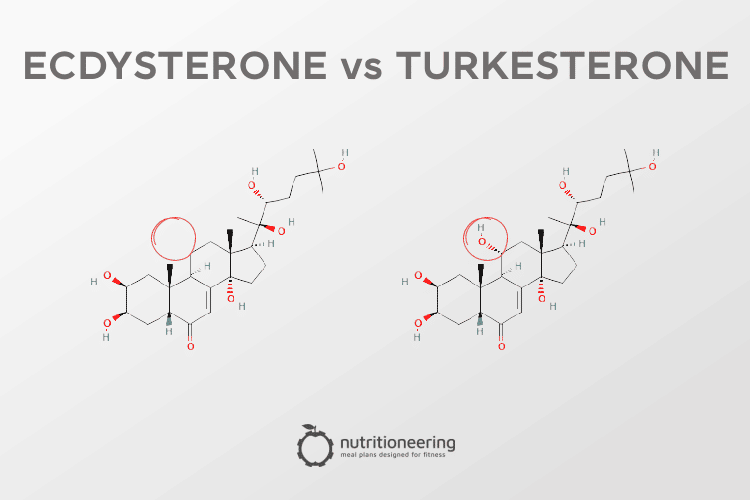 Turkesterone vs Ecdysterone Turkesterone vs Ecdysterone