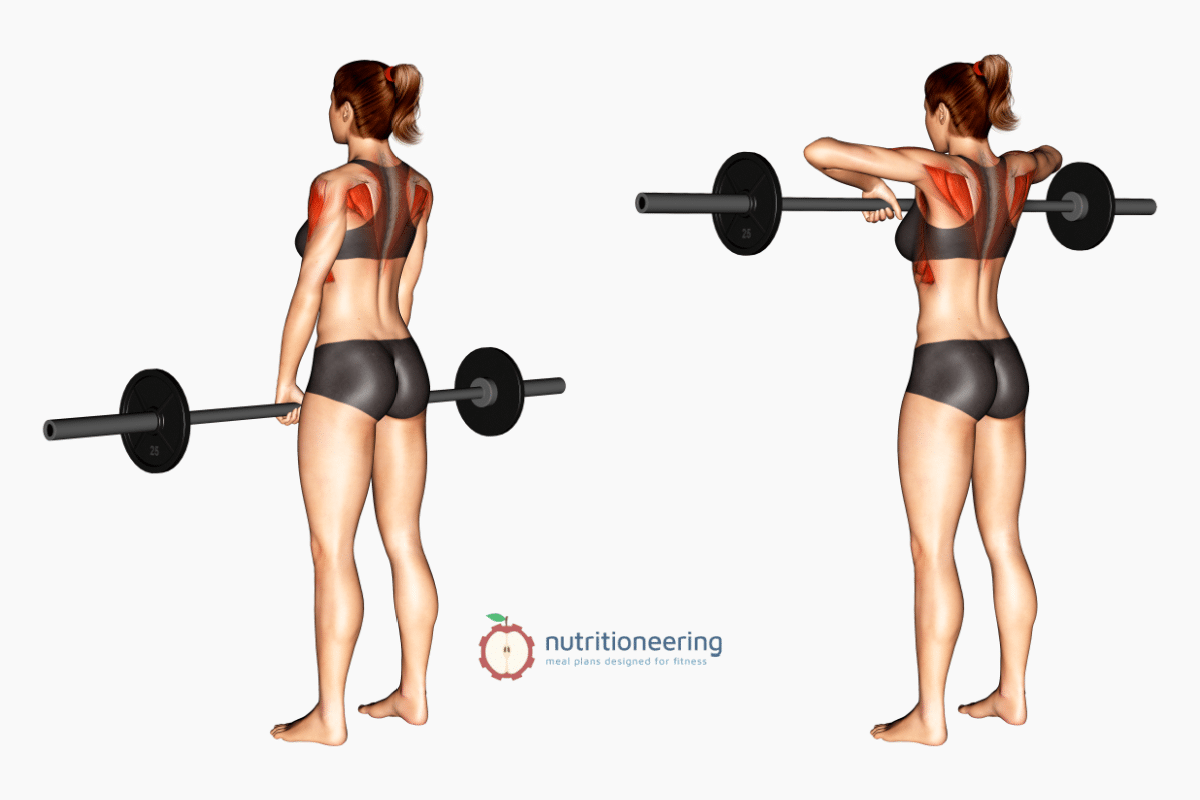 Is it safer to do upright rows with a barbell or dumbbells? - Quora