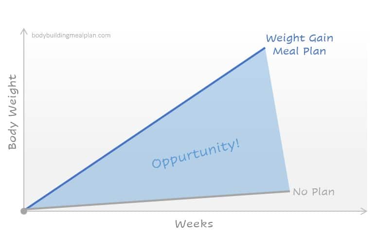 Weight Gain Meal Plan Graph Weight Gain Meal Plan Graph