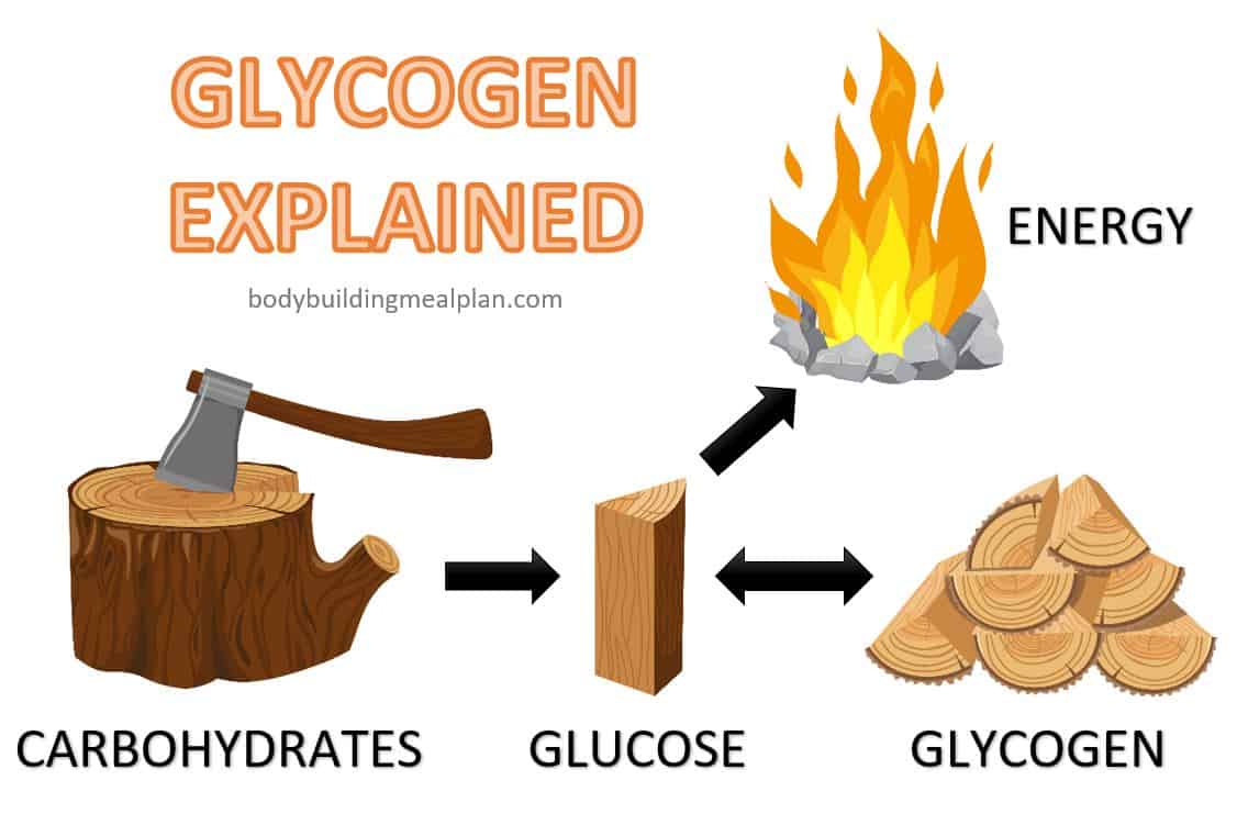 How Long Does A Pump Last - Glycogen