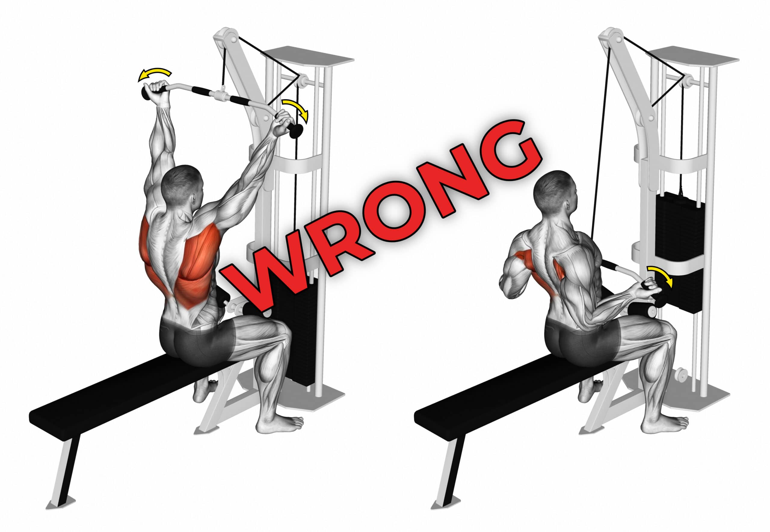 Wide Grip Supinated Lat Pulldown