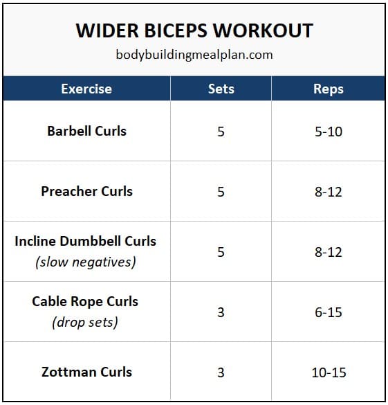 Wider Biceps Workout