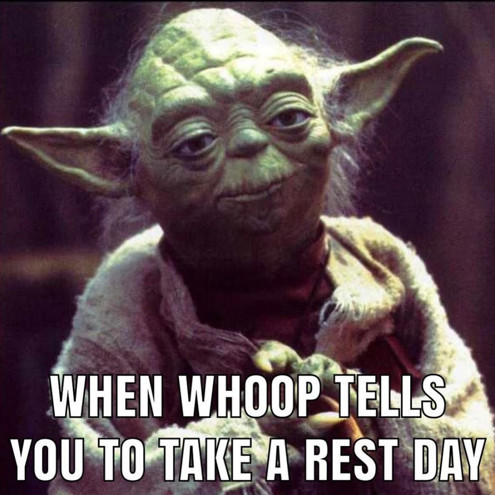 Yoda Rest Day Meme