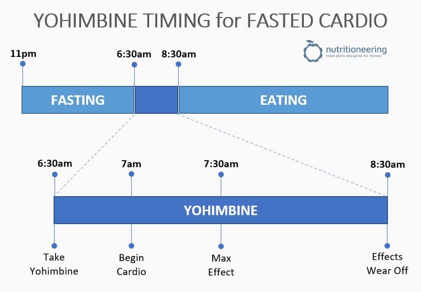 Yohimbine Timing