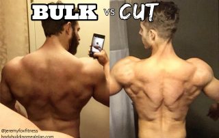 bulk vs cut jeremy fox